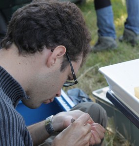 alex-marquage-recadr