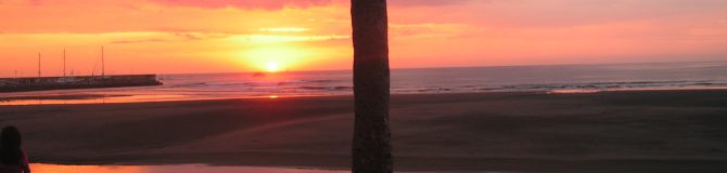 Rendez-vous gratuit et 20% sur le tarif horaire de conseil