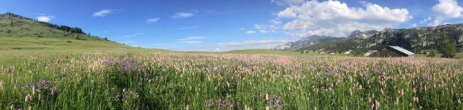 Osez votre rentrée autrement