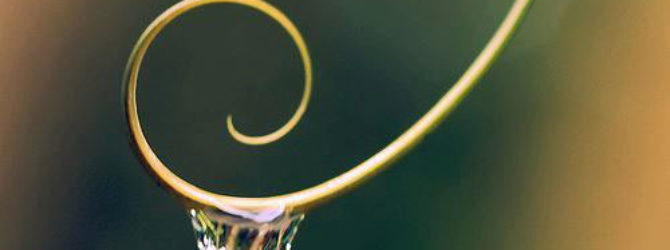 Atelier Rezonance Talents et Mission de Vie - Meilleur Leader pour soi avant de l’être pour les autres