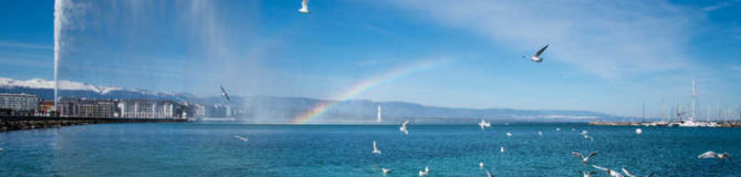 Nourrir le dialogue avec le vivant pour fertiliser territoire et management