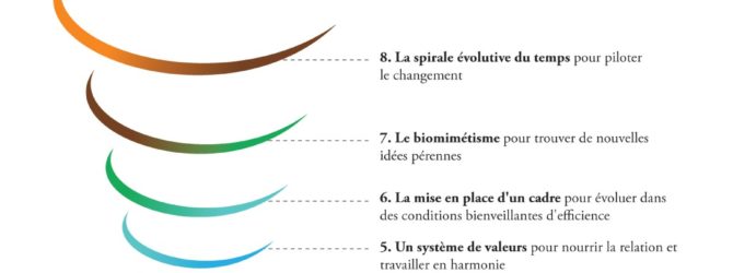 Les 9 principes du management durable !