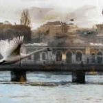 Illustration du profil de jean jacques kissling