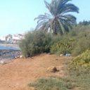 Illustration du profil de Harriet Leeck