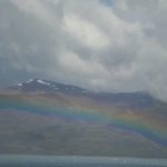 Illustration du profil de Daniela Liccardo