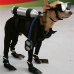 Illustration du profil de Nicolas Necker