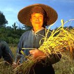 Illustration du profil de Duc Nguyen