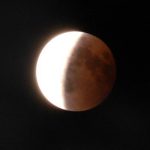 Illustration du profil de Laurence Pesquié