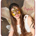 Illustration du profil de Papilio DesSens