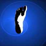 Illustration du profil de Patrick Hertzschuch