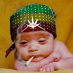 Illustration du profil de axel rullon