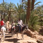 Illustration du profil de BARAOUI BENJELLOUN Asma