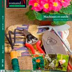 Illustration du profil de Diane Ayer