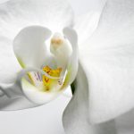 Illustration du profil de Art Bien-Etre