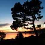 Illustration du profil de Arnaud Budel