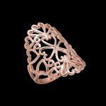 Illustration du profil de Philippe Carpentier